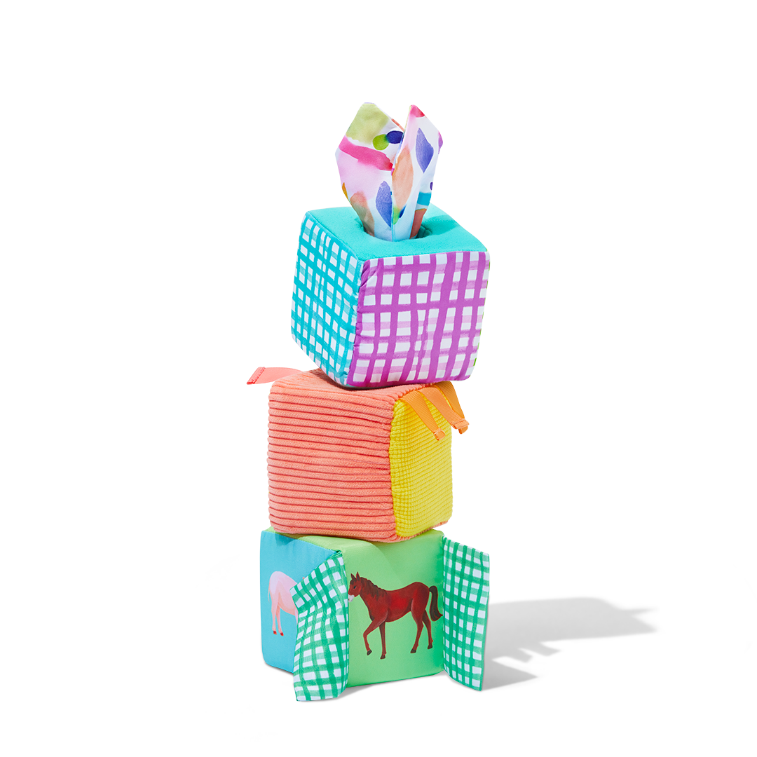 More to Explore Building Blocks